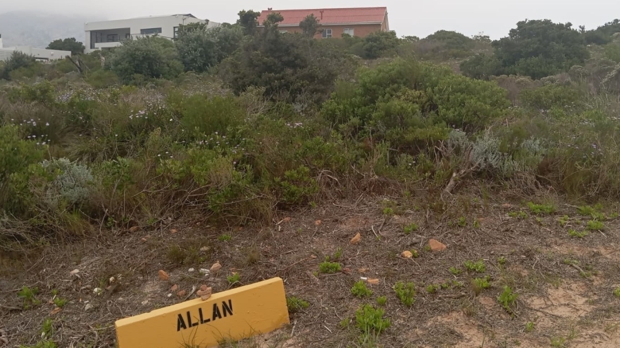 0 Bedroom Property for Sale in Pringle Bay Western Cape